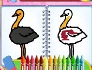 Coloring Birds Game