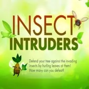 Insect Intruders