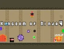 Kingdom Of Ninja 4