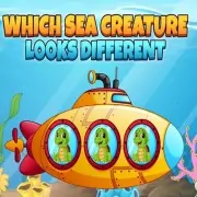 Which Sea Creature Looks...